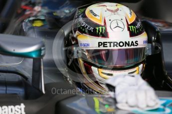 World © Octane Photographic Ltd. Mercedes AMG Petronas – Lewis Hamilton. Sunday 20th March 2016, F1 Australian GP - Grid, Melbourne, Albert Park, Australia. Digital Ref : 1523LB1D6730