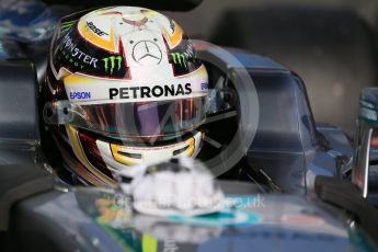 World © Octane Photographic Ltd. Mercedes AMG Petronas – Lewis Hamilton. Sunday 20th March 2016, F1 Australian GP - Grid, Melbourne, Albert Park, Australia. Digital Ref : 1523LB1D6739