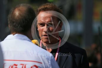 World © Octane Photographic Ltd. Arnold Schwarzenegger. Sunday 20th March 2016, F1 Australian GP - Grid, Melbourne, Albert Park, Australia. Digital Ref : 1523LB1D6796