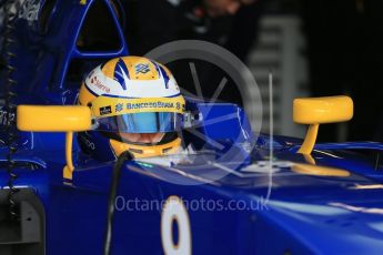 World © Octane Photographic Ltd. Sauber F1 Team C35 – Marcus Ericsson. Saturday 19th March 2016, F1 Australian GP Practice 3, Melbourne, Albert Park, Australia. Digital Ref : 1519LB1D4543