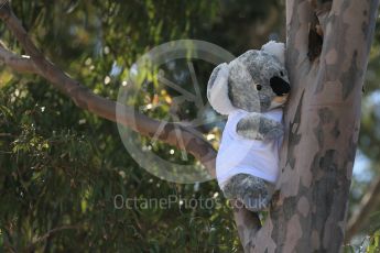 World © Octane Photographic Ltd. Koala bears on the Melbourne Walk. Thursday 17th March 2016, F1 Australian GP - Thursday - Melbourne Walk, Melbourne, Albert Park, Australia. Digital Ref : 1514LB1D9776