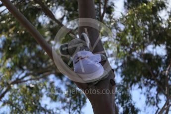 World © Octane Photographic Ltd. Koala bears on the Melbourne Walk. Thursday 17th March 2016, F1 Australian GP - Thursday - Melbourne Walk, Melbourne, Albert Park, Australia. Digital Ref : 1514LB1D9812