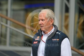 World © Octane Photographic Ltd. Red Bull Racing - Dr.Helmut Marko. Friday 1st July 2016, F1 Austrian GP Practice 1, Red Bull Ring, Spielberg, Austria. Digital Ref : 1598CB1D1828