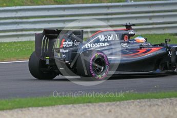 World © Octane Photographic Ltd. McLaren Honda MP4-31 (with new rear wing) – Fernando Alonso. Friday 1st July 2016, F1 Austrian GP Practice 1, Red Bull Ring, Spielberg, Austria. Digital Ref : 1598CB1D1987