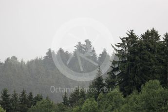 World © Octane Photographic Ltd. Rain in the trees. Friday 1st July 2016, F1 Austrian GP Practice 2, Red Bull Ring, Spielberg, Austria. Digital Ref : 1600LB1D6484