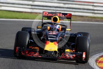 World © Octane Photographic Ltd. Red Bull Racing RB12 – Daniel Ricciardo with Halo device. Friday 26th August 2016, F1 Belgian GP Practice 1, Spa-Francorchamps, Belgium. Digital Ref : 1680LB1D6211