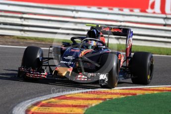 World © Octane Photographic Ltd. Scuderia Toro Rosso STR11 – Carlos Sainz with Halo device. Friday 26th August 2016, F1 Belgian GP Practice 1, Spa-Francorchamps, Belgium. Digital Ref : 1680LB1D6241