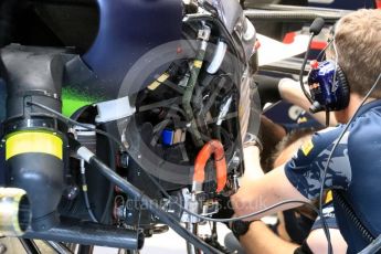 World © Octane Photographic Ltd. Red Bull Racing RB12 . Saturday 27th August 2016, F1 Belgian GP Practice 3, Spa-Francorchamps, Belgium. Digital Ref : 1687LB1D9467