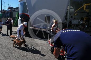 World © Octane Photographic Ltd. Mercedes AMG Petronas W07 Hybrid – Lewis Hamilton. Thursday 25th August 2016, F1 Belgian GP Pit Lane, Spa-Francorchamps, Belgium. Digital Ref : 1677LB2D3286