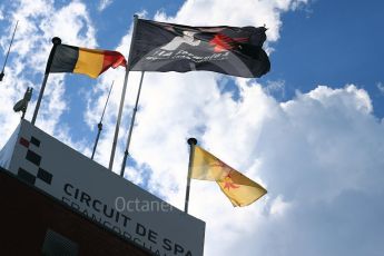 World © Octane Photographic Ltd. Saturday 27th August 2016, Formula 1 flag, Spa-Francorchamps, Belgium. Digital Ref : 1682LB1D0566