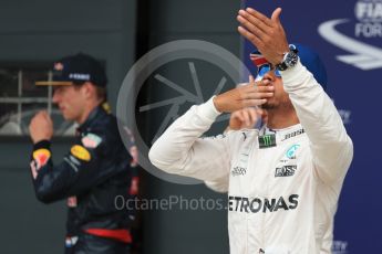 World © Octane Photographic Ltd. Mercedes AMG Petronas W07 Hybrid – Lewis Hamilton. Saturday 9th July 2016, F1 British GP Qualifying, Silverstone, UK. Digital Ref : 1626LB1D4102