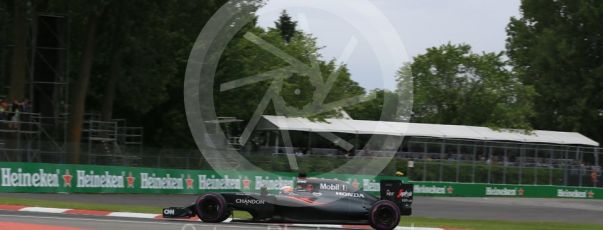 World © Octane Photographic Ltd. McLaren Honda MP4-31 – Fernando Alonso. Saturday 11th June 2016, F1 Canadian GP Qualifying, Circuit Gilles Villeneuve, Montreal, Canada. Digital Ref :1589LB5D0024