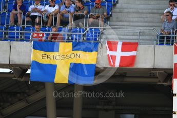 World © Octane Photographic Ltd. Ericsson and Magnussen fans flags. Saturday 30th July 2016, F1 German GP Practice 3, Hockenheim, Germany. Digital Ref :1665CB1D1695