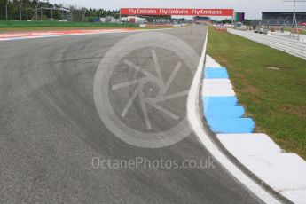 World © Octane Photographic Ltd. Thursday 28th July 2016, F1 German GP Track Walk, Hockenheim, Germany. Digital Ref :1658CB5D8788