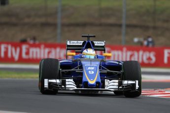 World © Octane Photographic Ltd. Sauber F1 Team C35 – Marcus Ericsson. Friday 22nd July 2016, F1 Hungarian GP Practice 1, Hungaroring, Hungary. Digital Ref :