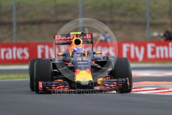 World © Octane Photographic Ltd. Red Bull Racing RB12 – Max Verstappen. Friday 22nd July 2016, F1 Hungarian GP Practice 1, Hungaroring, Hungary. Digital Ref :