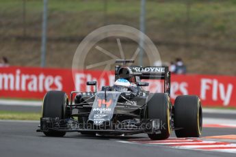 World © Octane Photographic Ltd. McLaren Honda MP4-31 – Fernando Alonso. Friday 22nd July 2016, F1 Hungarian GP Practice 1, Hungaroring, Hungary. Digital Ref :