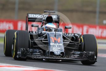 World © Octane Photographic Ltd. McLaren Honda MP4-31 – Fernando Alonso. Friday 22nd July 2016, F1 Hungarian GP Practice 1, Hungaroring, Hungary. Digital Ref :