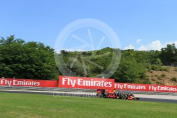 World © Octane Photographic Ltd. Red Bull Racing RB12 – Daniel Ricciardo. Friday 22nd July 2016, F1 Hungarian GP Practice 1, Hungaroring, Hungary. Digital Ref :