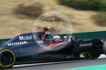 World © Octane Photographic Ltd. McLaren Honda MP4-31 – Jenson Button. Friday 22nd July 2016, F1 Hungarian GP Practice 2, Hungaroring, Hungary. Digital Ref : 1641CB1D6875