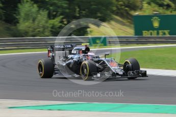 World © Octane Photographic Ltd. McLaren Honda MP4-31 – Jenson Button. Friday 22nd July 2016, F1 Hungarian GP Practice 2, Hungaroring, Hungary. Digital Ref : 1641CB1D6918