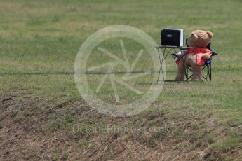 World © Octane Photographic Ltd. Mr Bear watches the F1. Friday 22nd July 2016, F1 Hungarian GP Practice 2, Hungaroring, Hungary. Digital Ref : 1641LB1D1435