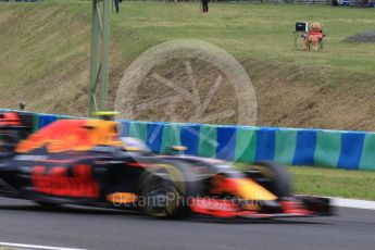 World © Octane Photographic Ltd. Mr Bear watches F1. Friday 22nd July 2016, F1 Hungarian GP Practice 2, Hungaroring, Hungary. Digital Ref : 1641LB2D1182