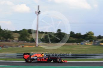 World © Octane Photographic Ltd. Red Bull Racing RB12 – Daniel Ricciardo. Friday 22nd July 2016, F1 Hungarian GP Practice 2, Hungaroring, Hungary. Digital Ref : 1641LB2D1253