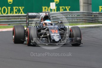 World © Octane Photographic Ltd. McLaren Honda MP4-31 – Fernando Alonso. Saturday 23rd July 2016, F1 Hungarian GP Practice 3, Hungaroring, Hungary. Digital Ref :1647CB1D7706