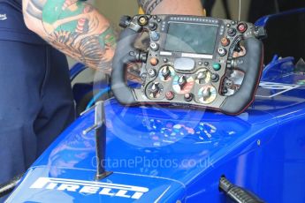 World © Octane Photographic Ltd. Sauber F1 Team C35. Saturday 23rd July 2016, F1 Hungarian GP Practice 3, Hungaroring, Hungary. Digital Ref : 1647LB1D2978