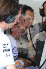 World © Octane Photographic Ltd. McLaren Honda MP4-31 – Fernando Alonso. Saturday 23rd July 2016, F1 Hungarian GP Practice 3, Hungaroring, Hungary. Digital Ref : 1647LB1D3174