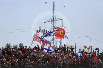 World © Octane Photographic Ltd. Crowds with flags. Sunday 24th July 2016, F1 Hungarian GP, Hungaroring, Hungary. Digital Ref :