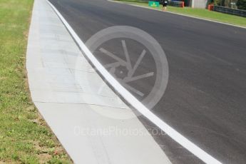 World © Octane Photographic Ltd. Curbs on the outside of turn 2. Thursday 21st July 2016, F1 Hungarian GP, Hungaroring, Hungary. Digital Ref :1636CB1D5466