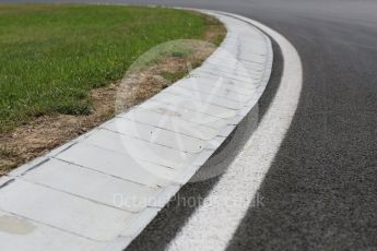 World © Octane Photographic Ltd. Curbs on the inside of turn 2. Thursday 21st July 2016, F1 Hungarian GP, Hungaroring, Hungary. Digital Ref :1636CB5D6306
