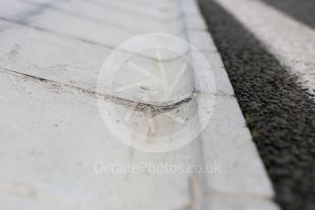 World © Octane Photographic Ltd. Curbs on the inside of turn 2. Thursday 21st July 2016, F1 Hungarian GP, Hungaroring, Hungary. Digital Ref :1636CB5D6310