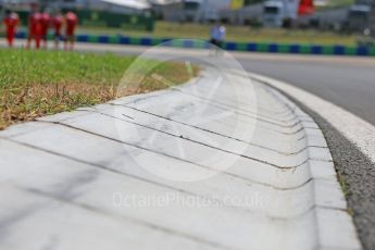 World © Octane Photographic Ltd. Curbs on the inside of turn 2. Thursday 21st July 2016, F1 Hungarian GP, Hungaroring, Hungary. Digital Ref :1636CB5D6312