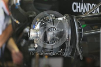 World © Octane Photographic Ltd. McLaren Honda MP4-31. Thursday 21st July 2016, F1 Hungarian GP Pitlane, Hungaroring, Hungary. Digital Ref :1636CB5D6380