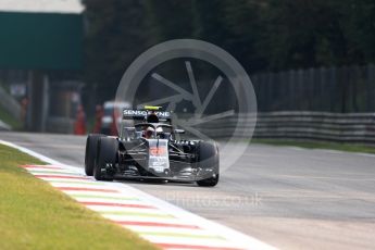 World © Octane Photographic Ltd. McLaren Honda MP4-31 – Jenson Button with Halo. Friday 2nd September 2016, F1 Italian GP Practice 1, Monza, Italy. Digital Ref :1697LB1D4623