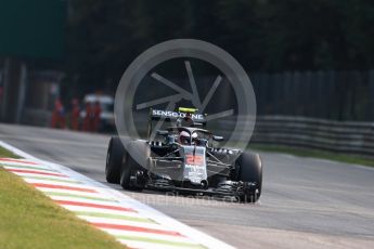 World © Octane Photographic Ltd. McLaren Honda MP4-31 – Jenson Button with Halo. Friday 2nd September 2016, F1 Italian GP Practice 1, Monza, Italy. Digital Ref :1697LB1D4735