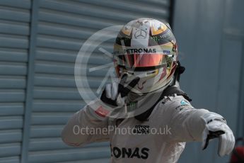 World © Octane Photographic Ltd. Mercedes AMG Petronas W07 Hybrid – Lewis Hamilton. Saturday 3rd September 2016, F1 Italian GP Qualifying, Monza, Italy. Digital Ref :1705LB1D8669