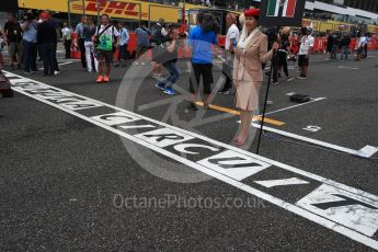 World © Octane Photographic Ltd. Suzuka grid graphic. Sunday 9th October 2016, F1 Japanese GP - Suzuka Circuit, Suzuka, Japan. Digital Ref :1735LB1D7162