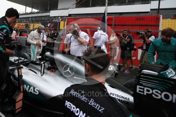 World © Octane Photographic Ltd. Mercedes AMG Petronas W07 Hybrid – Lewis Hamilton. Sunday 9th October 2016, F1 Japanese GP - Grid. Suzuka Circuit, Suzuka, Japan. Digital Ref :1735LB1D7313