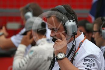 World © Octane Photographic Ltd. Mercedes AMG Petronas W07 Hybrid – Lewis Hamilton. Sunday 9th October 2016, F1 Japanese GP - Grid. Suzuka Circuit, Suzuka, Japan. Digital Ref :1735LB2D4399