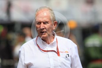 World © Octane Photographic Ltd. Red Bull Racing - Dr.Helmut Marko. Thursday 26th May 2016, F1 Monaco GP Practice 1, Monaco, Monte Carlo. Digital Ref :