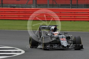 World © Octane Photographic Ltd. McLaren Honda MP4-31 – Stoffel Vandoorne. Wednesday 13th July 2016, F1 In-season testing, Silverstone UK. Digital Ref :1633LB1D8470