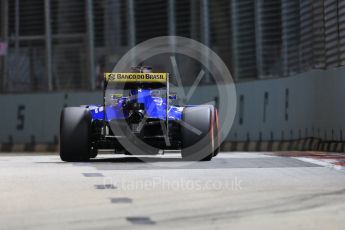 World © Octane Photographic Ltd. Sauber F1 Team C35 – Marcus Ericsson. Friday 16th September 2016, F1 Singapore GP Practice 2, Marina Bay Circuit, Singapore. Digital Ref : 1717CB5D5130