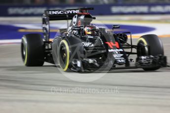 World © Octane Photographic Ltd. McLaren Honda MP4-31 – Fernando Alonso. Friday 16th September 2016, F1 Singapore GP Practice 2, Marina Bay Circuit, Singapore. Digital Ref : 1717CB5D5345