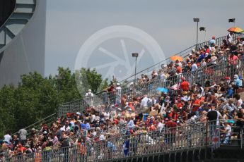 World © Octane Photographic Ltd. Fans. Saturday 14th May 2016, F1 Spanish GP - Qualifying, Circuit de Barcelona Catalunya, Spain. Digital Ref : 1546CB7D7432