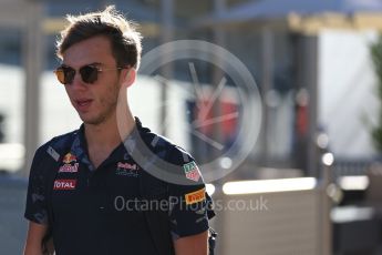 World © Octane Photographic Ltd. Red Bull Racing RB12 Reserve Driver – Pierre Gasly. Friday 21st October 2016, F1 USA Grand Prix Paddock, Austin, Texas – Circuit of the Americas (COTA). Digital Ref : 1741LB2D4848