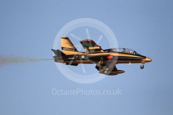 World © Octane Photographic Ltd. UAE Al Fursan (The Knights) Air Display Team – Aermacchi MB-339A. Saturday 25th November 2017, F1 Abu Dhabi GP - Yas Marina circuit, Abu Dhabi. Digital Ref : -2011CB1L7910